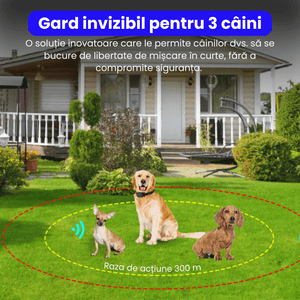 Casa si Gradina - Gradinarit si plante - Produse zootehnice - Infinity.ro