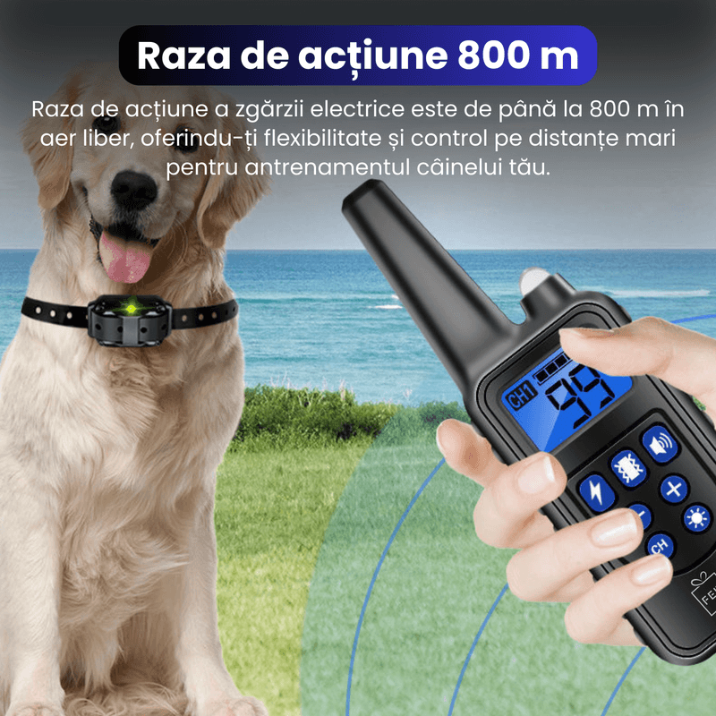 Petshop - Accesorii petshop - Zgarzi, lese si hamuri - Zgarzi - Zgarda electrica pentru 2 caini, raza 800 m, 3 moduri de antrenament, rezistenta la apa IP67, negru - Infinity.ro
