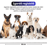 Petshop - Accesorii petshop - Zgarzi, lese si hamuri - Zgarzi - Zgarda electrica pentru 2 caini, raza 800 m, 3 moduri de antrenament, rezistenta la apa IP67, negru - Infinity.ro