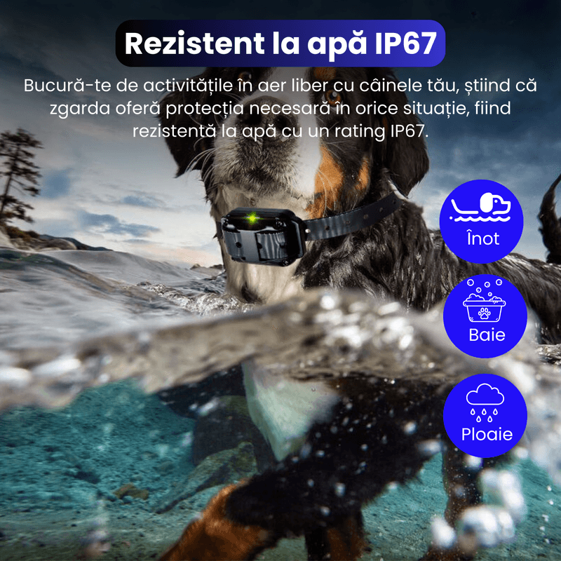 Petshop - Accesorii petshop - Zgarzi, lese si hamuri - Zgarzi - Zgarda electrica pentru 2 caini, raza 800 m, 3 moduri de antrenament, rezistenta la apa IP67, negru - Infinity.ro