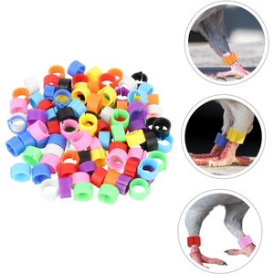 Petshop - Articole imbracaminte - Infinity.ro