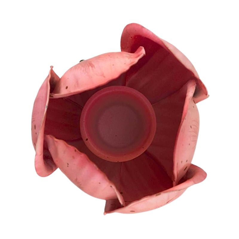 Casa si Gradina - Decoratiuni - Aromaterapie si lumanari - Suporturi lumanari - Set 2 suporturi, din metal, Pip Studio, lalele 21 si 26 cm, Pink, colectia Others - Infinity.ro