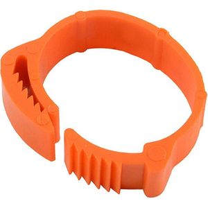 Petshop - Articole imbracaminte - Incaltaminte animale - Infinity.ro