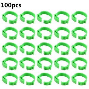 Petshop - Articole imbracaminte - Incaltaminte animale - Infinity.ro