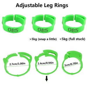 Petshop - Articole imbracaminte - Incaltaminte animale - Infinity.ro