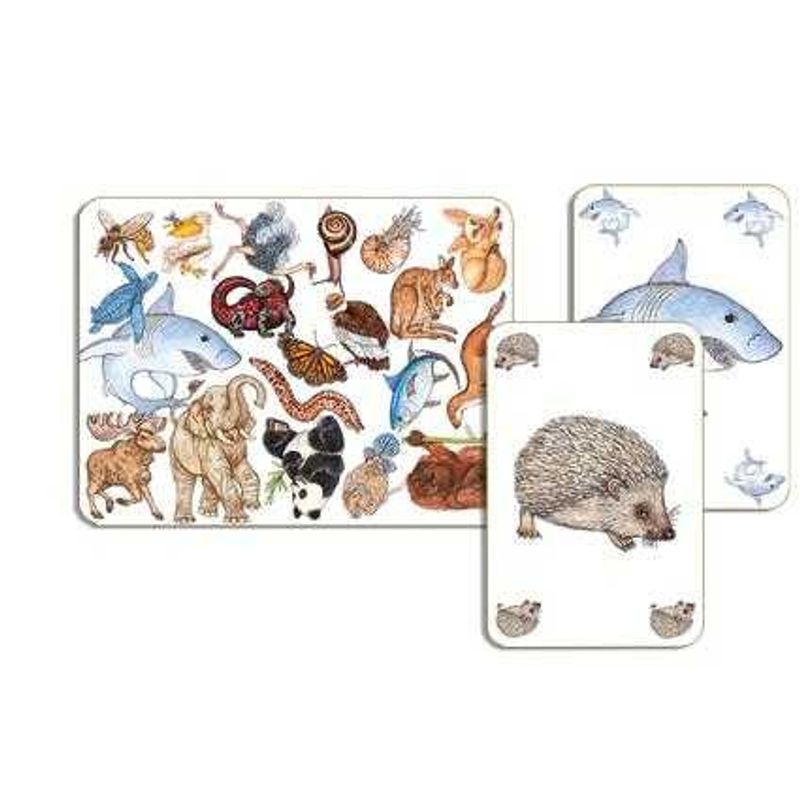 Jucarii, Copii si Bebe - Jucarii si jocuri - Jucarii & jocuri educative - Jocuri si jucarii educative - Joc de carti Zanimatch, Djeco - Infinity.ro