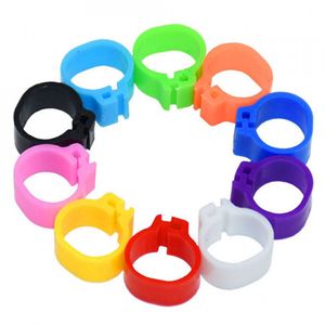 Petshop - Articole imbracaminte - Incaltaminte animale - Infinity.ro