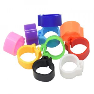 Petshop - Articole imbracaminte - Incaltaminte animale - Infinity.ro