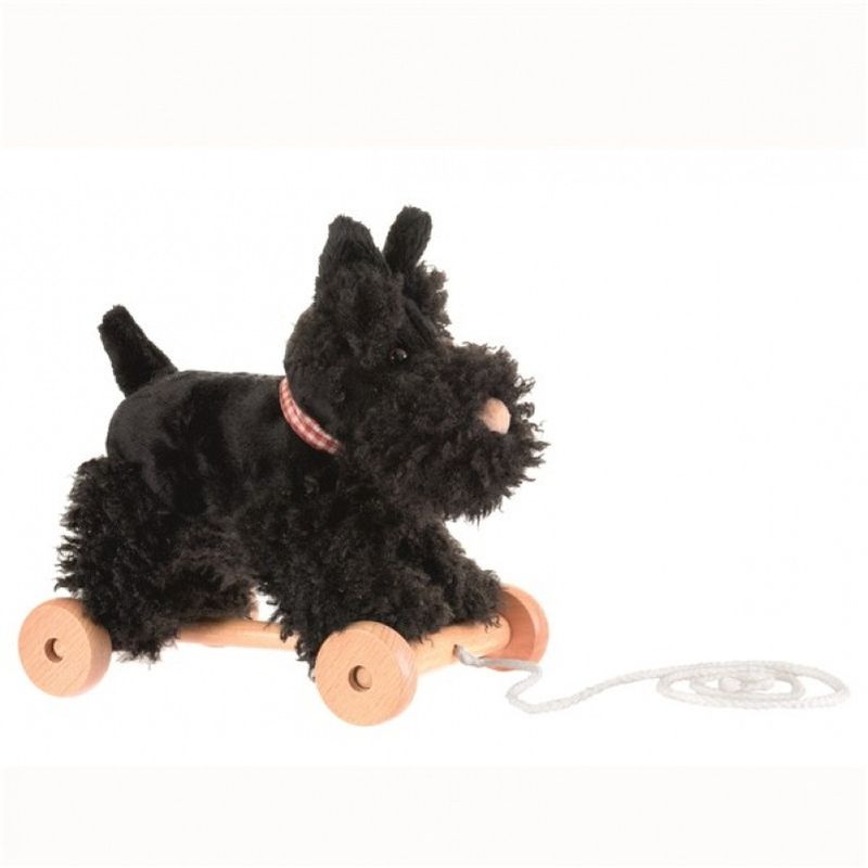 Jucarii, Copii si Bebe - Jucarii si jocuri - Jucarii bebelusi - Jucarii de tras/impins - Jucarie de tras catelul Walter, Egmont Toys - Infinity.ro