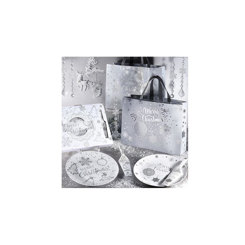 Casa si Gradina - Decoratiuni - Decoratiuni de sezon - Set 2 ornamente din plastic transparent model Fulg 5x26 cm - Infinity.ro