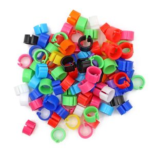 Petshop - Articole imbracaminte - Incaltaminte animale - Infinity.ro