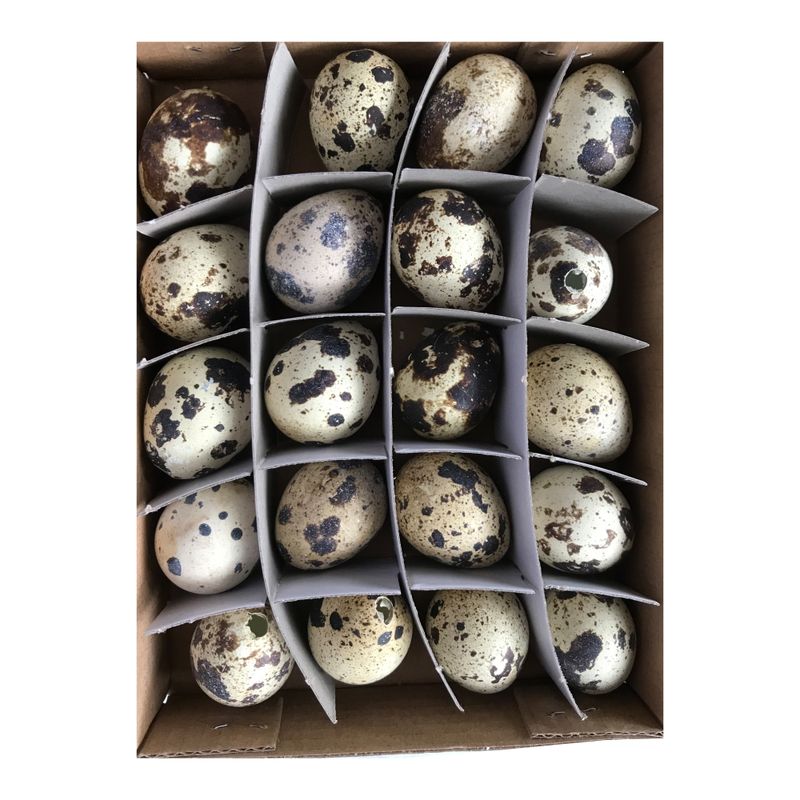 Casa si Gradina - Decoratiuni - Decoratiuni de sezon - Set 20 oua decorative, crem maro, 2.5x3 cm - Infinity.ro