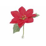 Casa si Gradina - Decoratiuni - Decoratiuni de sezon - Craciunita artificiala rosie  12 x 16 cm - Infinity.ro