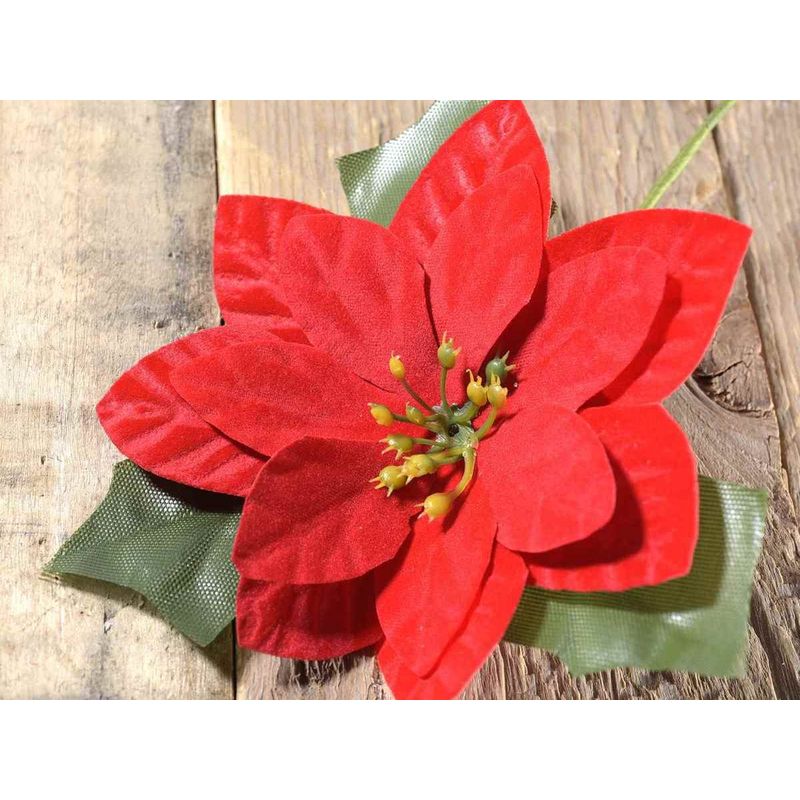 Casa si Gradina - Decoratiuni - Decoratiuni de sezon - Craciunita artificiala rosie  12 x 16 cm - Infinity.ro