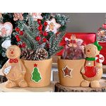 Casa si Gradina - Gradinarit si plante - Plante si ghivece - Ghivece si suporturi - Set 2 ghivece Turta Dulce ceramica multicolora 16.5x10.5x15 cm - Infinity.ro