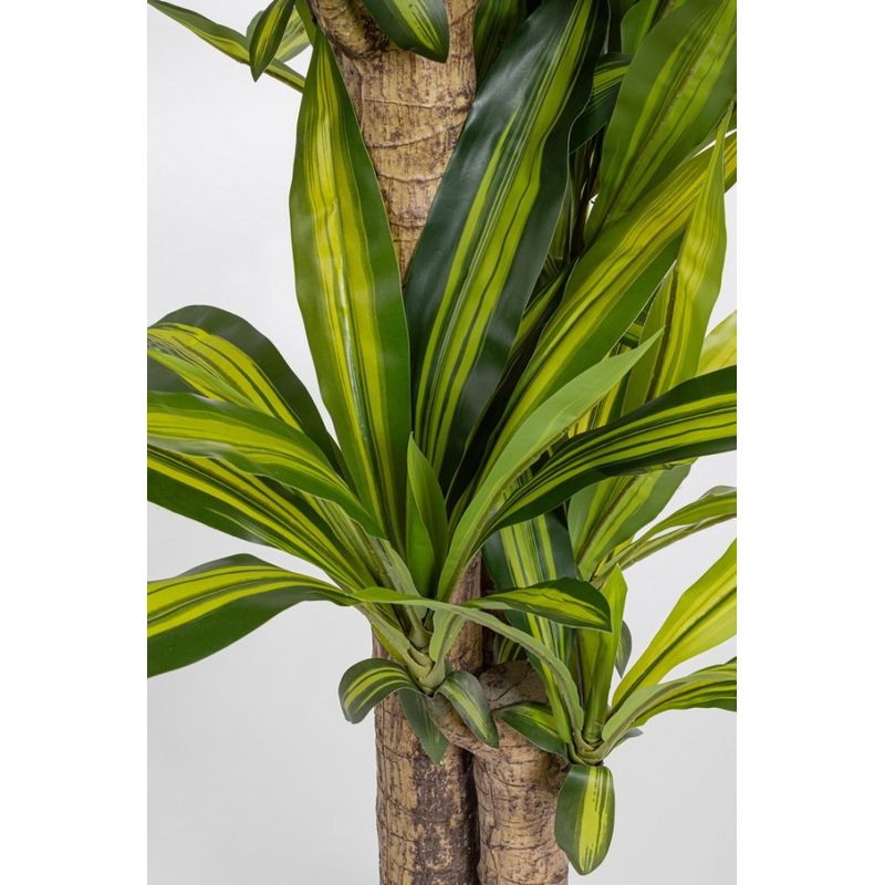 Casa si Gradina - Decoratiuni - Obiecte decorative - Plante artificiale - Dracena artificiala in ghiveci 100x130 cm - Infinity.ro