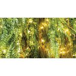 Casa si Gradina - Decoratiuni - Obiecte decorative - Plante artificiale - Planta artificiala verde 88 cm - Infinity.ro