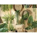 Casa si Gradina - Decoratiuni - Obiecte decorative - Plante artificiale - Frunza decor cala  55 cm - Infinity.ro