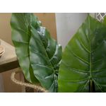 Casa si Gradina - Decoratiuni - Obiecte decorative - Plante artificiale - Frunza decor cala  55 cm - Infinity.ro