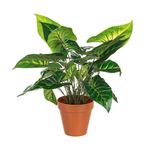 Casa si Gradina - Decoratiuni - Obiecte decorative - Plante artificiale - Floare artificiala in ghiveci 30 cm x 45h - Infinity.ro