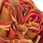 Casa si Gradina - Decoratiuni - Obiecte decorative - Plante artificiale - Trandafir englezesc portocaliu artificial 30 h - Infinity.ro