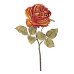 Casa si Gradina - Decoratiuni - Obiecte decorative - Plante artificiale - Trandafir englezesc portocaliu artificial 30 h - Infinity.ro
