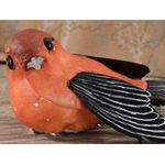 Casa si Gradina - Decoratiuni - Obiecte decorative - Plante artificiale - Set 10 Pasari decorative 14 cm - Infinity.ro