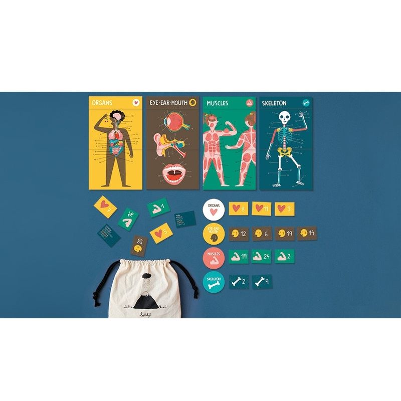 Jucarii, Copii si Bebe - Jucarii si jocuri - Jocuri si puzzle - Jocuri de societate - Joc Corpul uman, Londji - Infinity.ro
