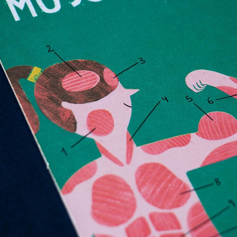 Jucarii, Copii si Bebe - Jucarii si jocuri - Jocuri si puzzle - Jocuri de societate - Joc Corpul uman, Londji - Infinity.ro