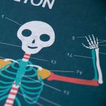 Jucarii, Copii si Bebe - Jucarii si jocuri - Jocuri si puzzle - Jocuri de societate - Joc Corpul uman, Londji - Infinity.ro