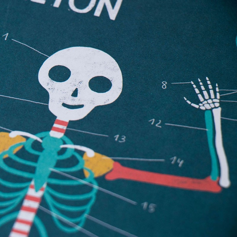 Jucarii, Copii si Bebe - Jucarii si jocuri - Jocuri si puzzle - Jocuri de societate - Joc Corpul uman, Londji - Infinity.ro