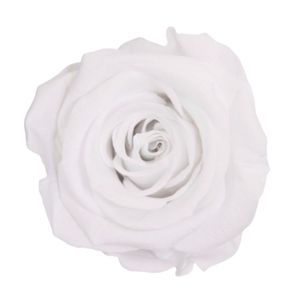Trandafir stabilizat, in cutie, 54 cm, Verdissimo, culoarea alb