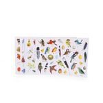 Carti si Birotica - Rechizite - Abtibilduri - Abtibilduri Variatii botanice, Moulin Roty - Infinity.ro