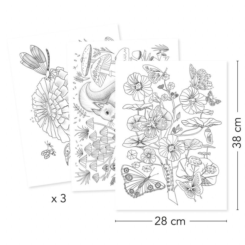 Carti si Birotica - Carti - Carti pentru copii - Carti de colorat - Mapa cu 3 postere de colorat Natura, Djeco - Infinity.ro