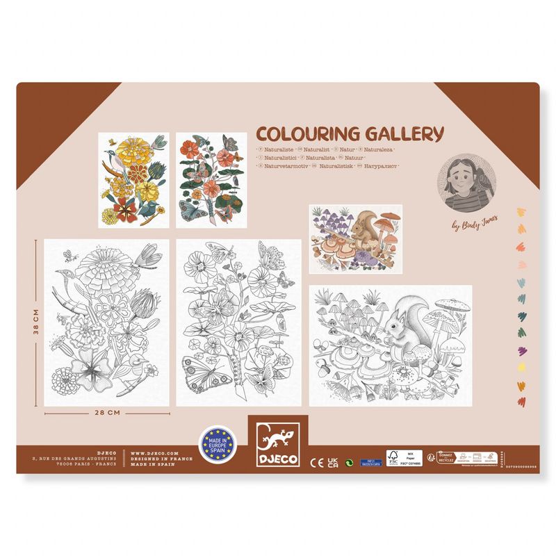 Carti si Birotica - Carti - Carti pentru copii - Carti de colorat - Mapa cu 3 postere de colorat Natura, Djeco - Infinity.ro