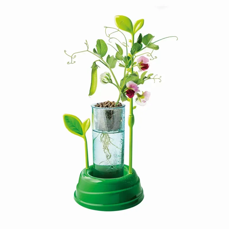 Jucarii, Copii si Bebe - Jucarii si jocuri - Jocuri si puzzle - Jocuri de societate - Gradina Mea Stiinta Joaca - Infinity.ro