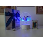 Casa si Gradina - Corpuri si surse de iluminat - Veioze si lampi - Lampi de veghe copii - Lampa de veghe LED, Printese Disney, 16 culori, cu telecomanda, lumina ambientala, alimentare USB sau 3 baterii AA - Infinity.ro