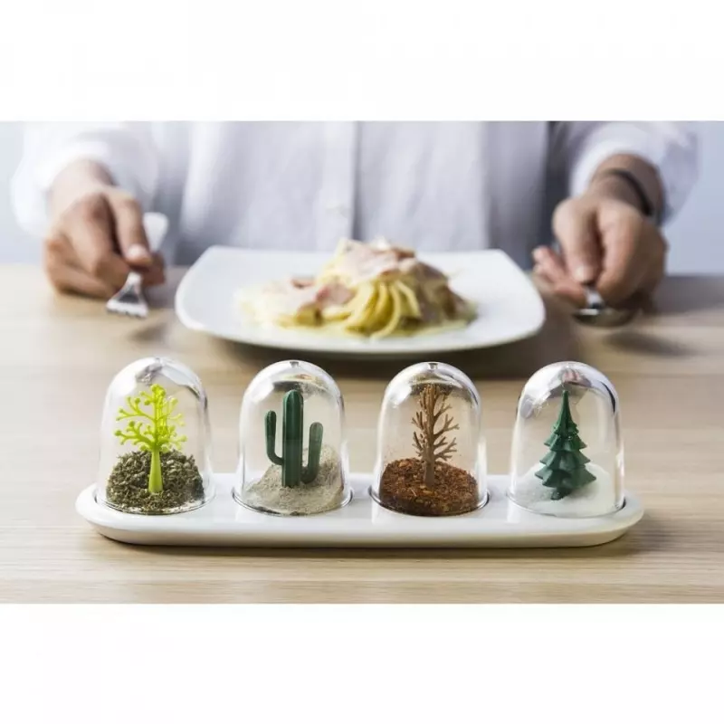 Casa si Gradina - Bucatarie si vesela - Ustensile bucatarie - Rasnite si dozatoare condimente - Set suport si 4 recipiente pentru condimente, Four Seasons, Gonga® Transparent - Infinity.ro