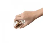 Casa si Gradina - Bucatarie si vesela - Ustensile bucatarie - Rasnite si dozatoare condimente - Set suport si 4 recipiente pentru condimente, Four Seasons, Gonga® Transparent - Infinity.ro