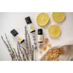 Casa si Gradina - Decoratiuni - Aromaterapie si lumanari - Uleiuri esentiale aromaterapie - Organic Oil Lavender Ulei esential de Lavanda (10 ml) - Calivita - Infinity.ro