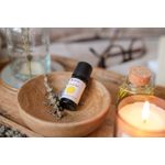 Casa si Gradina - Decoratiuni - Aromaterapie si lumanari - Uleiuri esentiale aromaterapie - Organic Oil Lavender Ulei esential de Lavanda (10 ml) - Calivita - Infinity.ro