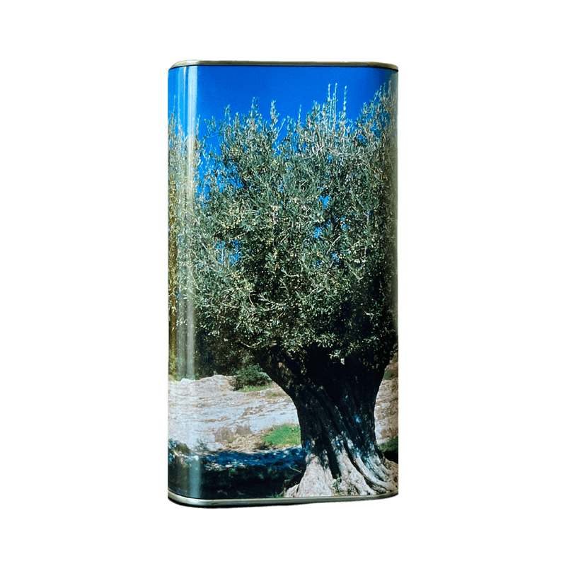 Market - Bacanie - Alimente de baza - Ulei si otet - Ulei de Masline Premium Extravirgin Presat la Rece de Categorie Superioara 1L - Pasqualone - Infinity.ro