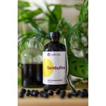 Ingrijire personala si Cosmetice - Sanatate si wellness - Suplimente alimentare - Alte suplimente alimentare - SambuRex Complex Nutritiv pentru Imunitate din Extract de Soc negru cu Echinaceea Vitamina C si Zinc (240 ml) - CaliVita - Infinity.ro
