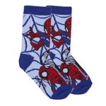 Fashion, accesorii si bijuterii - Copii - Lenjerie si pijamale copii - Sosete si dresuri copii - Set 5 sosete baieti Spiderman,Multicolor, Marime 19/22 Multicolor 19-22 EU - Infinity.ro