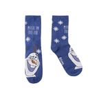 Fashion, accesorii si bijuterii - Copii - Lenjerie si pijamale copii - Sosete si dresuri copii - Set 5 sosete copii Frozen 2900001541, 23-26 EU, Multicolor - Infinity.ro