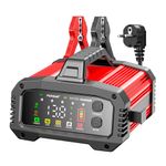 Auto si Moto - Reparatii si depanare - Redresoare - Redresor Incarcator Inteligent Baterii Auto Foxsur® FPT-250, compatibil AGM, GEL, EFB, LifFePO4, 25A, 12V/24V potrivit - Infinity.ro
