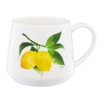 Casa si Gradina - Bucatarie si vesela - Cani si pahare - Cani si cesti - Cana AMBITION Frutti, 460ml, portelan, design lamaie - Infinity.ro