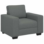 Casa si Gradina - Mobilier - Canapele si coltare - Canapele - Canapea Scaun Gri Inchis 60 cm Tesatura - Infinity.ro