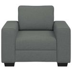 Casa si Gradina - Mobilier - Canapele si coltare - Canapele - Canapea Scaun Gri Inchis 60 cm Tesatura - Infinity.ro