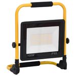 Casa si Gradina - Corpuri si surse de iluminat - Plafoniere, aplice si spoturi - Proiector cu LED si maner, alb rece, 100 W - Infinity.ro